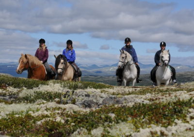 Hester på Kyrkjegardsfjell | Spidsbergseter Resort Rondane