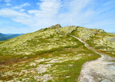 Sti til Svartfjell | Summer English hike | Spidsbergseter Resort Rondane