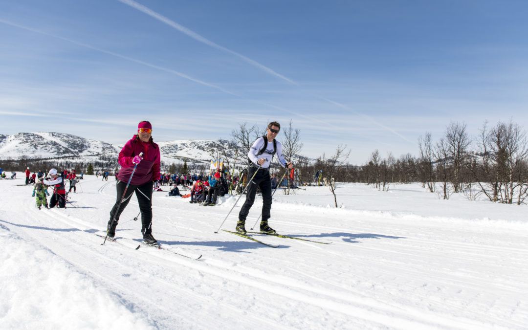 Vårski